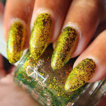 Load image into Gallery viewer, Ugly? Who?