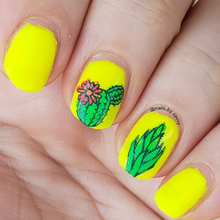 Load image into Gallery viewer, ¡Ay Caramba!