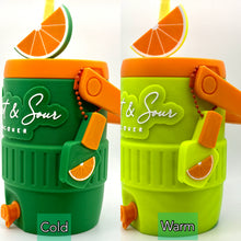 Load image into Gallery viewer, Coozies